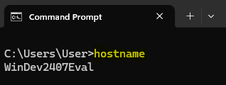 hostname