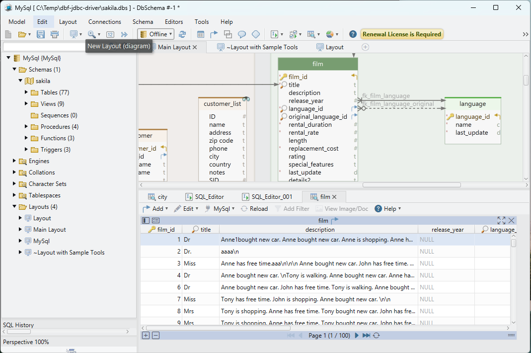 Data Explorer Maximized View